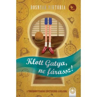   Tündérboszorkány-trilógia 2. - Klott Gatya, ne fárassz! - Bosnyák Viktória (2021)