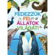 Fedezzük fel az állatok világát!