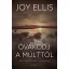 Óvakodj a múlttól - Joy Ellis