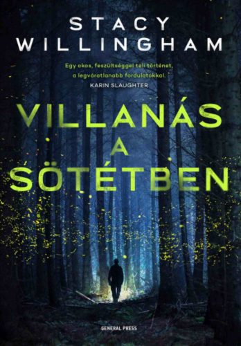 Villanás a sötétben - Stacy Willingham