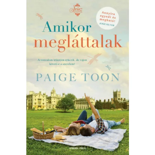 Amikor megláttalak - Paige Toon