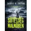 Sötétség Malmőben - Zajácz D. Zoltán