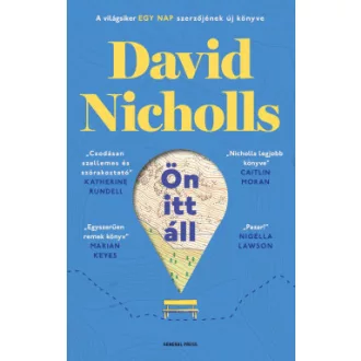 Ön itt áll - David Nicholls