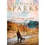 Törékeny csodák - Nicholas Sparks