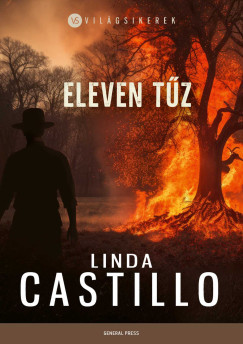 Eleven tűz - Linda Castillo