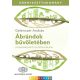 Ábrándok bűvöletében - Gelencsér András