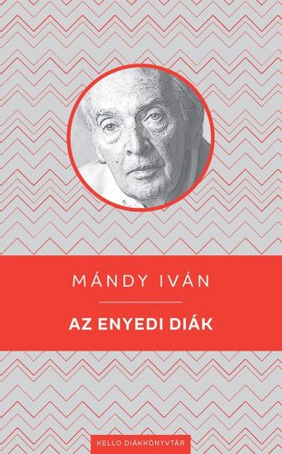 Az enyedi diák - Mándy Iván
