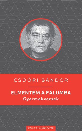 Elmentem a falumba - Csóri Sándor