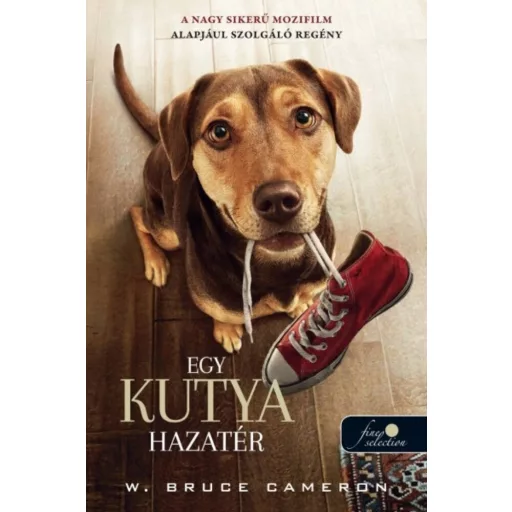 Egy kutya hazatér - Filmes borító (W. Bruce Cameron)