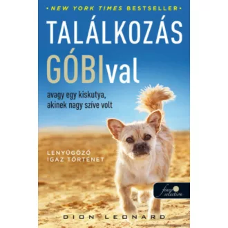 Találkozás Góbival, avagy egy kiskutya, akinek nagy szíve volt (Dion Leonard)