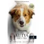Egy kutya négy útja (filmes borító) (W. Bruce Cameron)