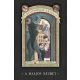 A balszerencse áradása 1. - Lemony Snicket
