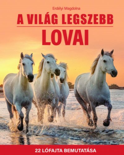 A világ legszebb lovai - Erdélyi Magdolna