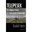 Telepesek és telepes falvak a csehszlovák Kárpátalján