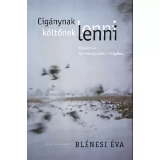 Cigánynak lenni, költőnek lenni - Közelítések Bari Károly költészetéhez