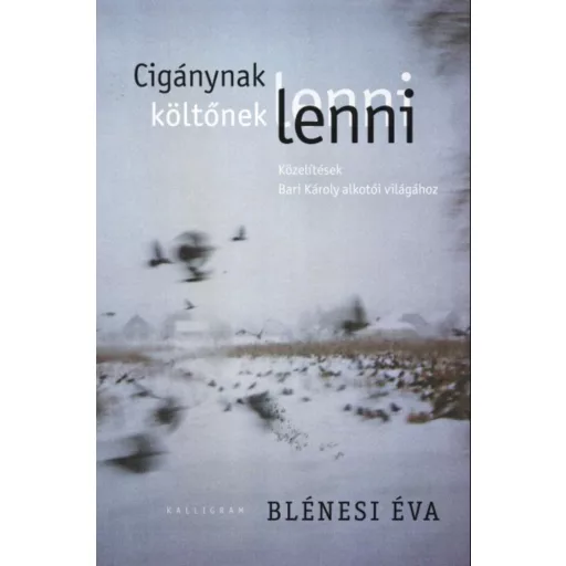 Cigánynak lenni, költőnek lenni - Közelítések Bari Károly költészetéhez