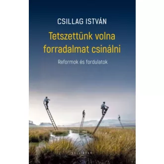 Tetszettünk volna forradalmat csinálni - Csillag István