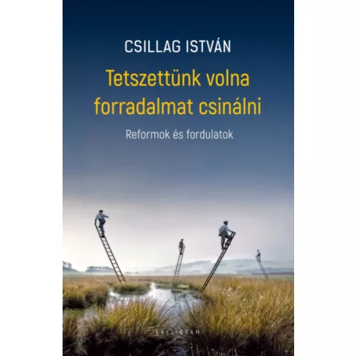 Tetszettünk volna forradalmat csinálni - Csillag István