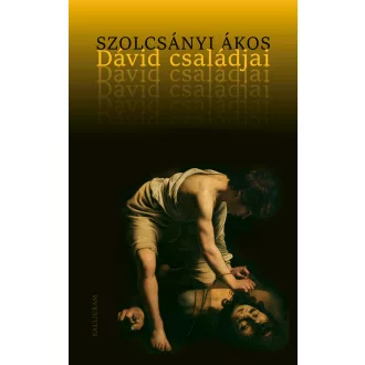 Dávid családjai - Szolcsányi Ákos