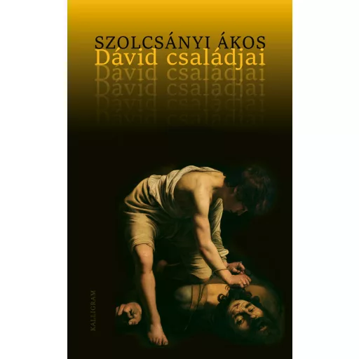 Dávid családjai - Szolcsányi Ákos