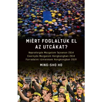 Miért foglaltuk el az utcákat? - Ming-sho Ho