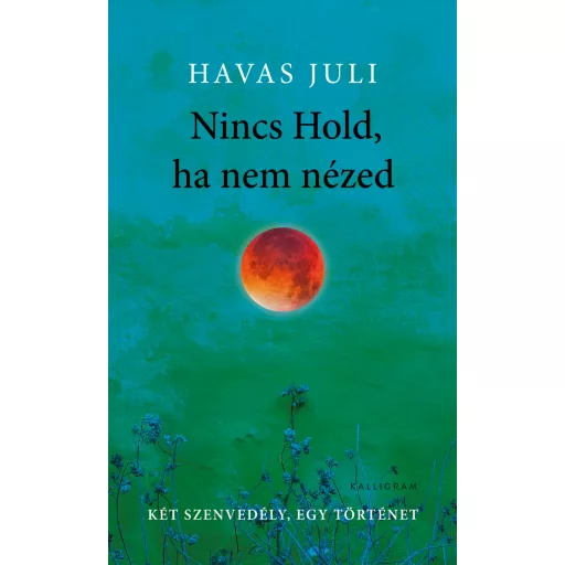 Nincs Hold, ha nem nézed (Új kiadás) - Havas Juli