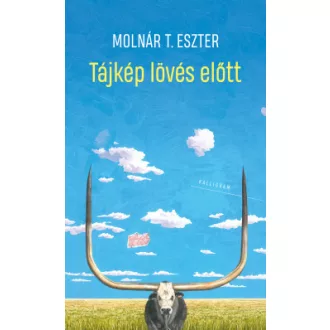 Tájkép lövés előtt - Molnár T. Eszter