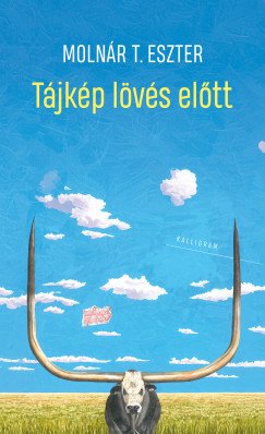 Tájkép lövés előtt - Molnár T. Eszter