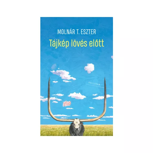 Tájkép lövés előtt - Molnár T. Eszter