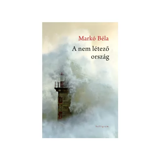 A nem létező ország - Markó Béla