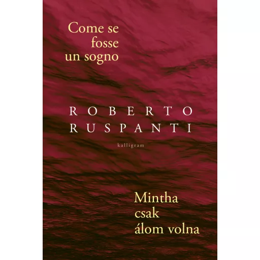 Come se fosse un sogno // Mintha csak álom volna - Roberto Ruspanti