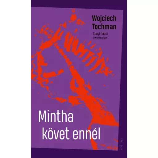 Mintha követ ennél - Wojciech Tochman