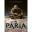 A Pária - Anthony Ryan
