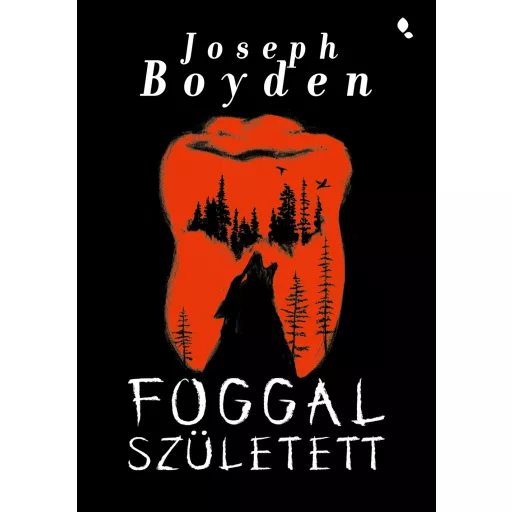 Foggal született - Joseph Boyden