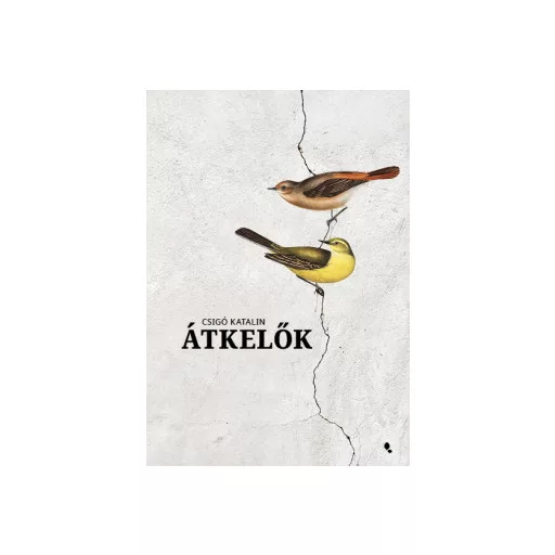 Átkelők - Csigó Katalin