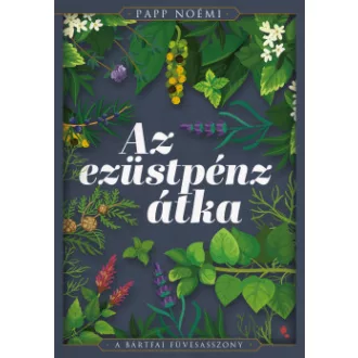 Az ezüstpénz átka - Papp Noémi