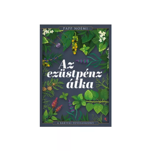 Az ezüstpénz átka - Papp Noémi