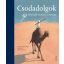 Csodadolgok /Híres írók meseszép történetei (Válogatás)