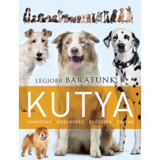 Legjobb barátunk, a kutya