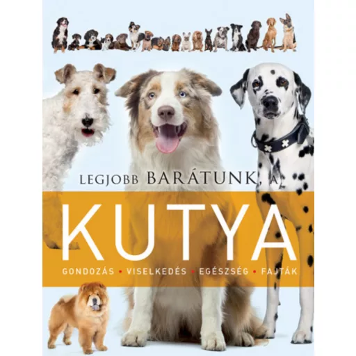 Legjobb barátunk, a kutya
