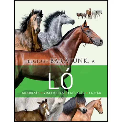 Legjobb barátunk, a ló - Miguel Ángel San Andrés