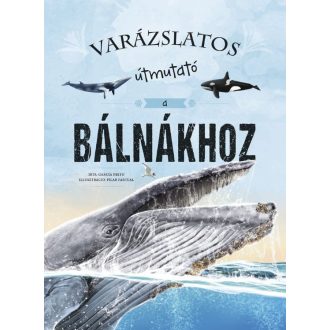 Varázslatos útmutató a bálnákhoz - Eliseo García Nieto