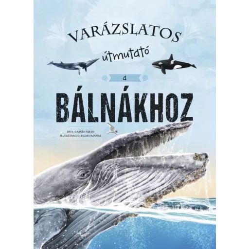 Varázslatos útmutató a bálnákhoz - Eliseo García Nieto