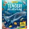 Tengeri állatvilág - Paco Torrubiano