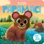 Ujjbáb Papamaci - Igloo Books