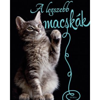 A legszebb macskák (Nicola Jane Swinney)
