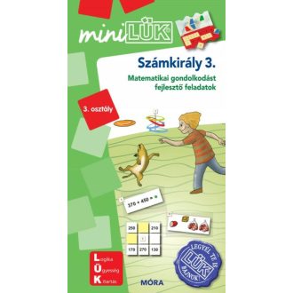 Számkirály 3. - Matematikai gondolkodást fejlesztő feladatok /MiniLÜK (LÜK)