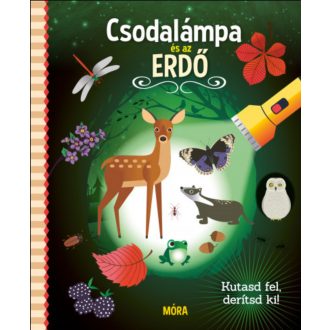 Csodalámpa és az erdő - Kutasd fel, derítsd ki!