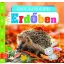 Erdőben - Kedvenc állatok kicsiknek (Fecske Csaba)