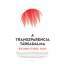 A transzparencia társadalma - Byung - Chul Han